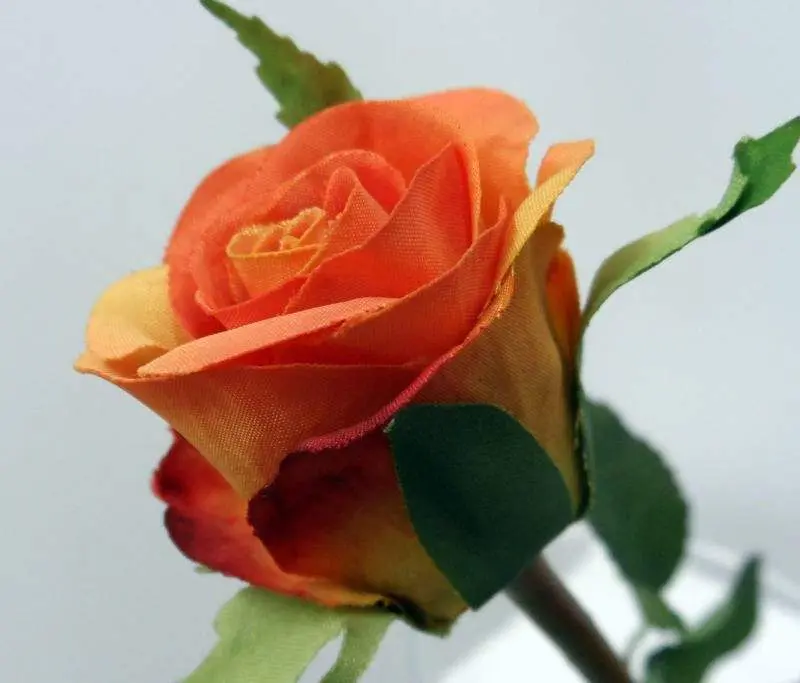 Искусственные растения