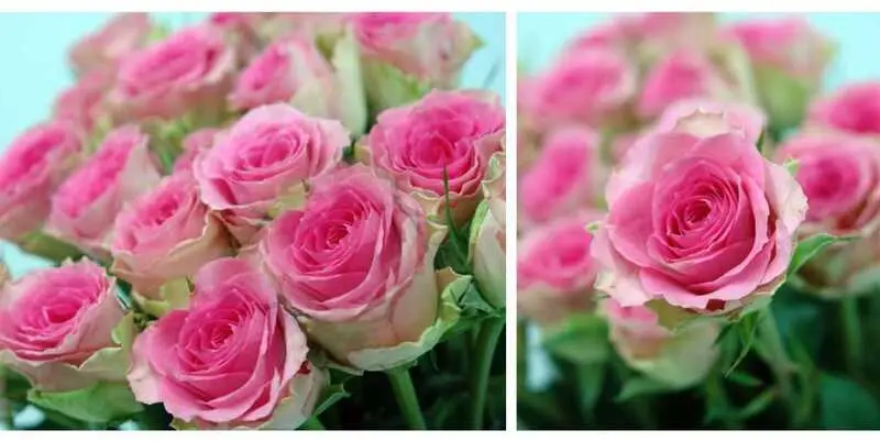 Таймс Сквэа (70)