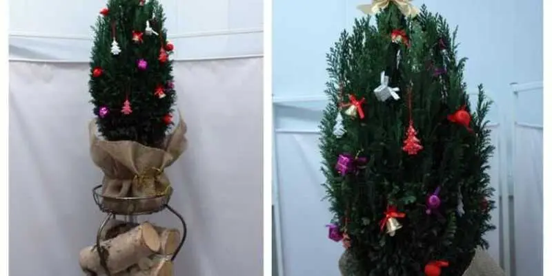 Новогодняя Композиция Ель с Декоративными Украшениями Н120