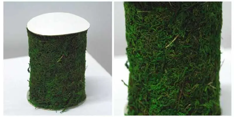 Мох 120х12х0,5 см