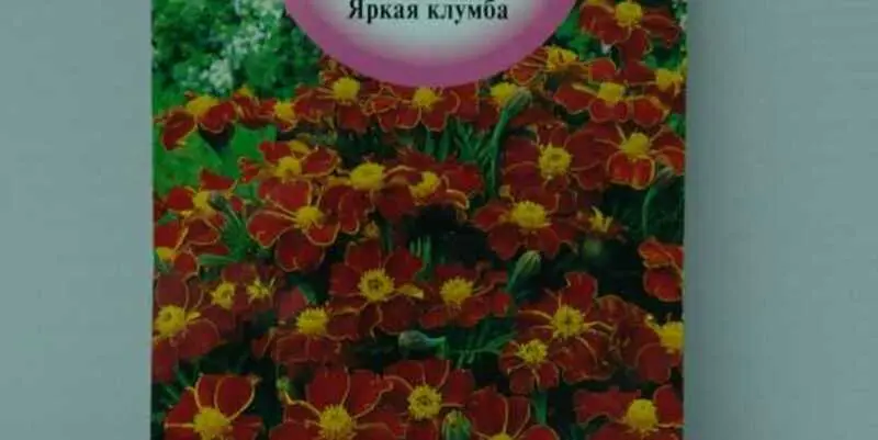 Бархатцы Фаворит (красные)