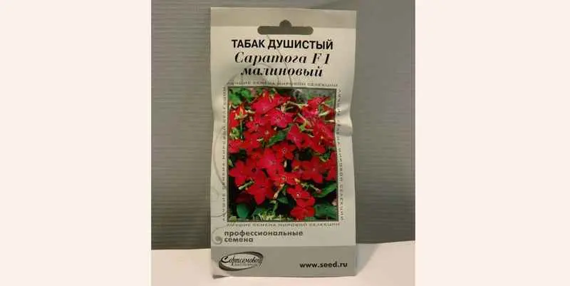 Табак Душистый Саратога (малиновый)