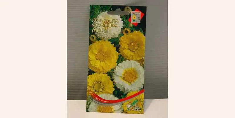 Хризантема Увенчанная Люси