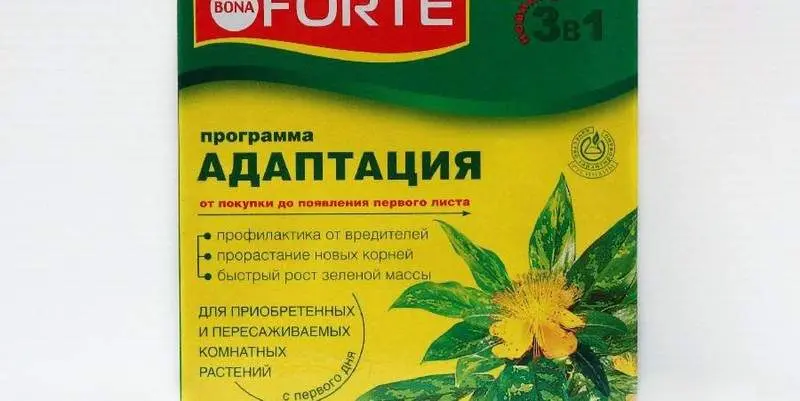 Бона Форте Адаптация