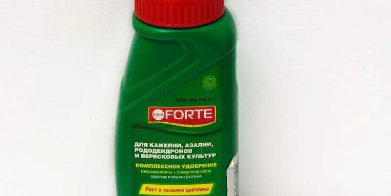 ЖКУ Для Камелии, Азалии, Рододендронов и Вересковых Культур