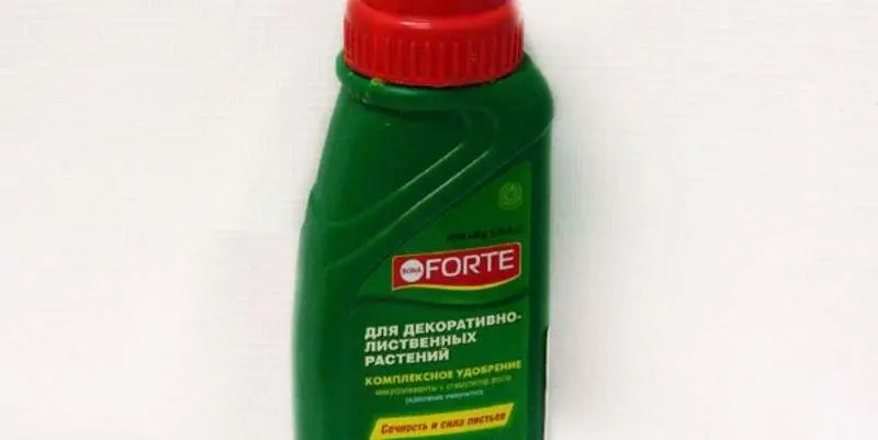 Бона Форте ЖКУ Для Декоративно Лиственных Растений