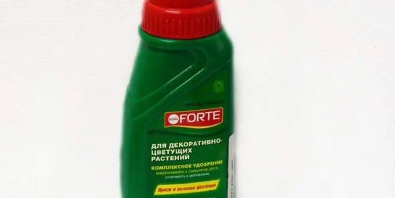 ЖКУ для декоративно цветущих растений