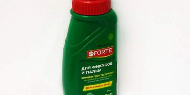 ЖКУ для фикусов и пальм