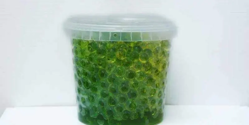 Аквагрунт зеленый