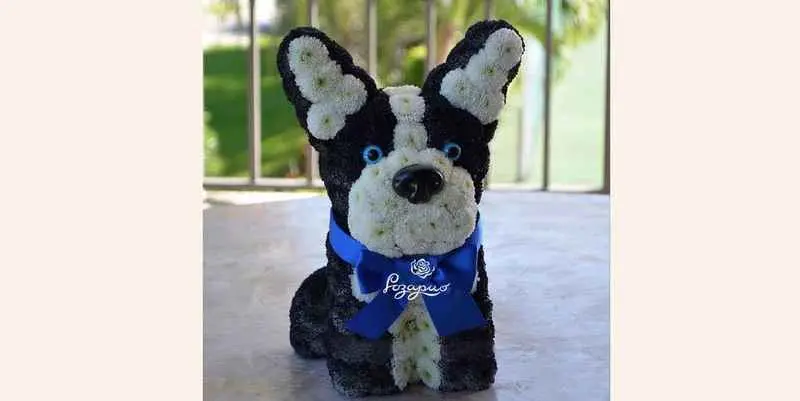 Игрушка из цветов - Бим