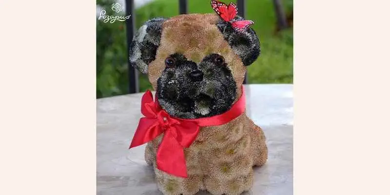 Игрушка из цветов - Буль