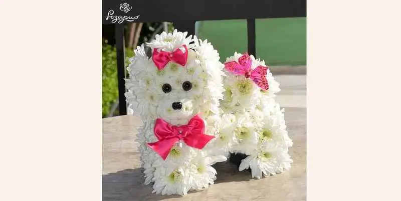 Игрушка из цветов - Мармелад