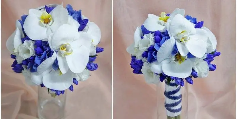 Голубоглазка