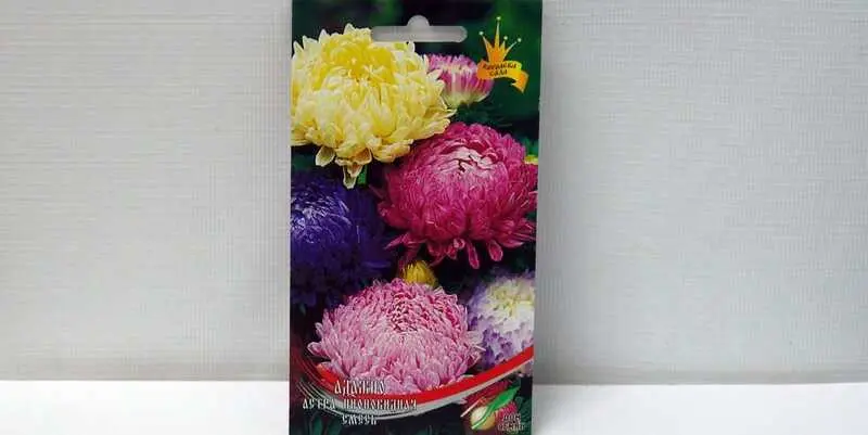 Астра пионовидная смесь Адажио