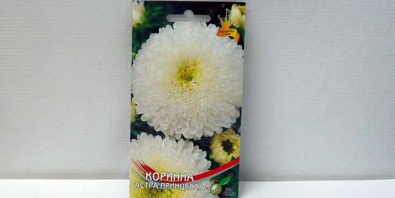 Астра Принцесса Коринна