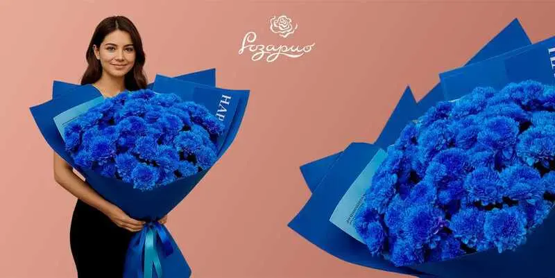 Букет гигант из синих хризантем, фронтальный вид, в руках у девушки